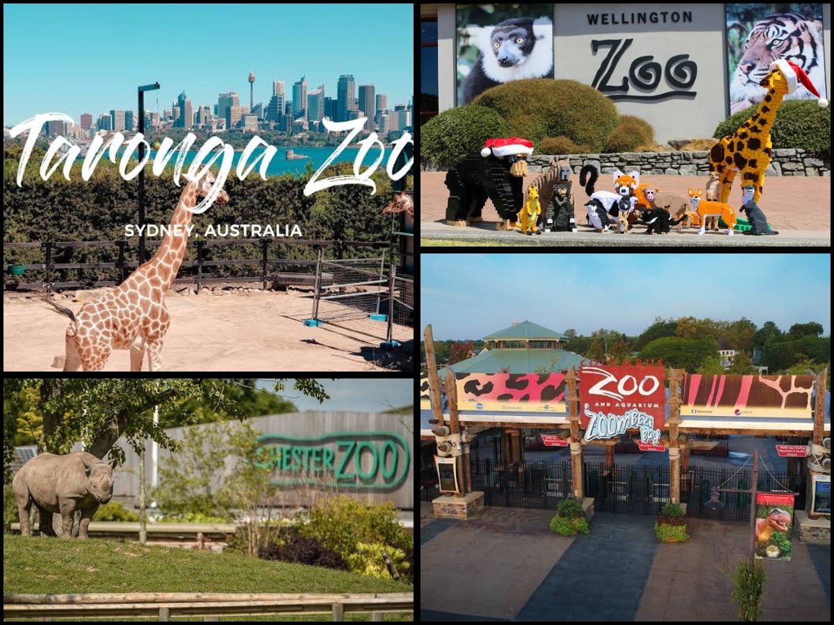 Top 10 Best Zoological Gardens in the World 2025