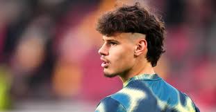 Milos Kerkez in 2026: Net Worth and Salary in 2026, Biography, Career, Personal Life & FAQs