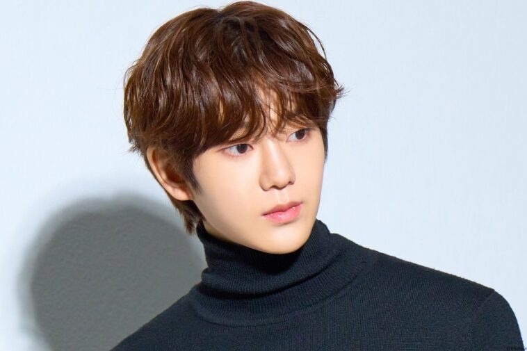 TNX Hyunsoo Biography: Profile, Net Worth 2025, Career, and Background
