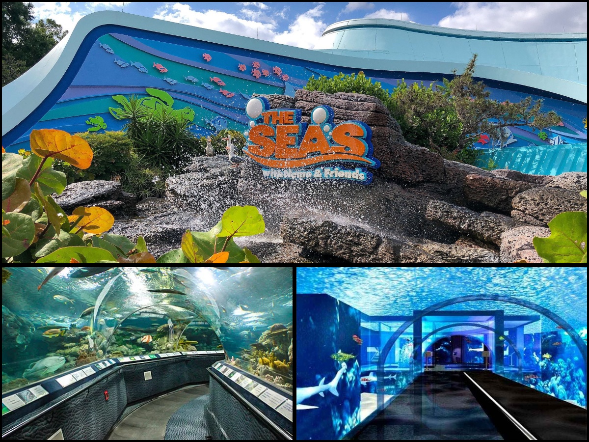 Top 10 Largest Aquariums in the World 2025