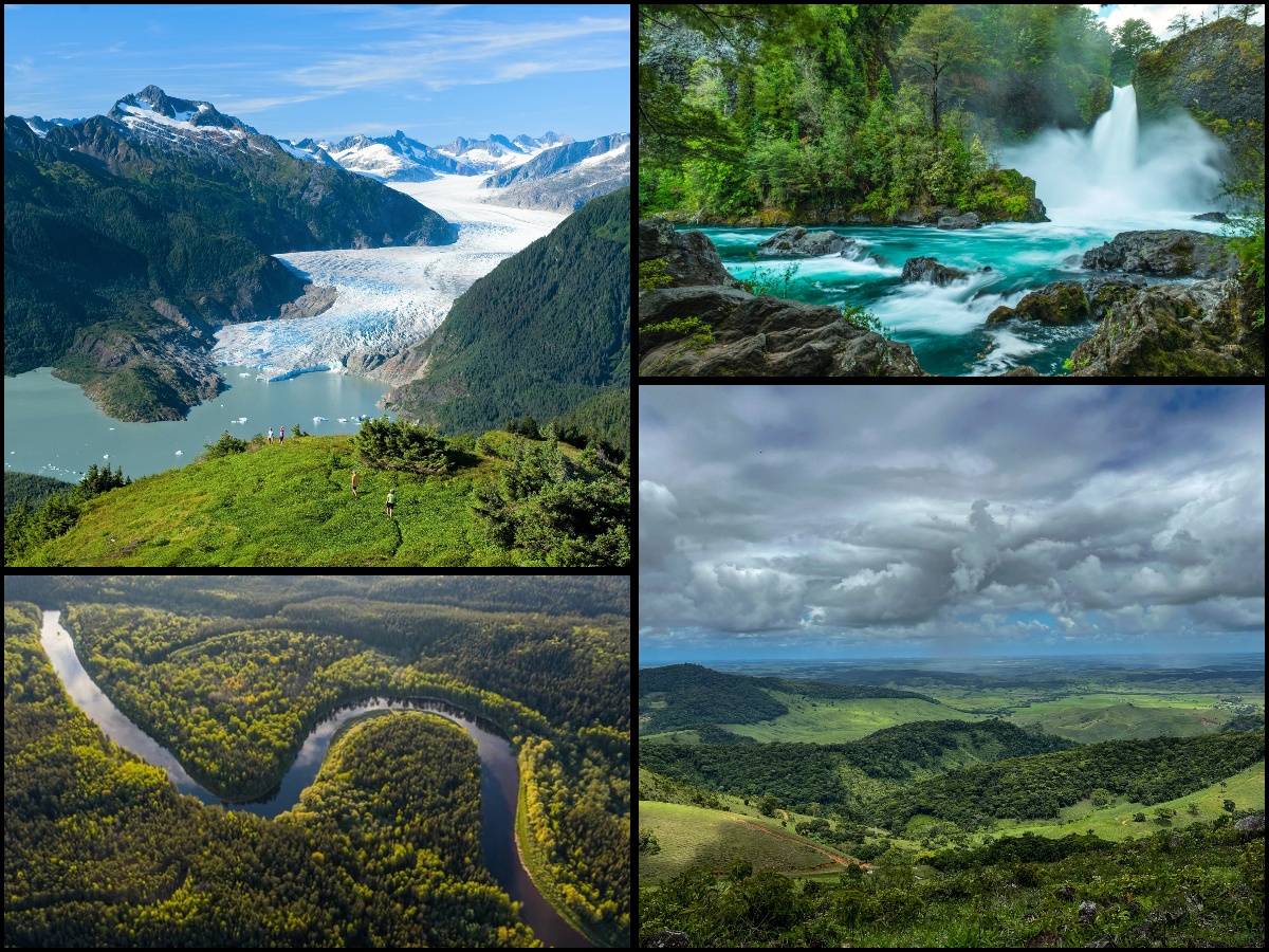 Top 10 Largest Rainforests in the World 2025