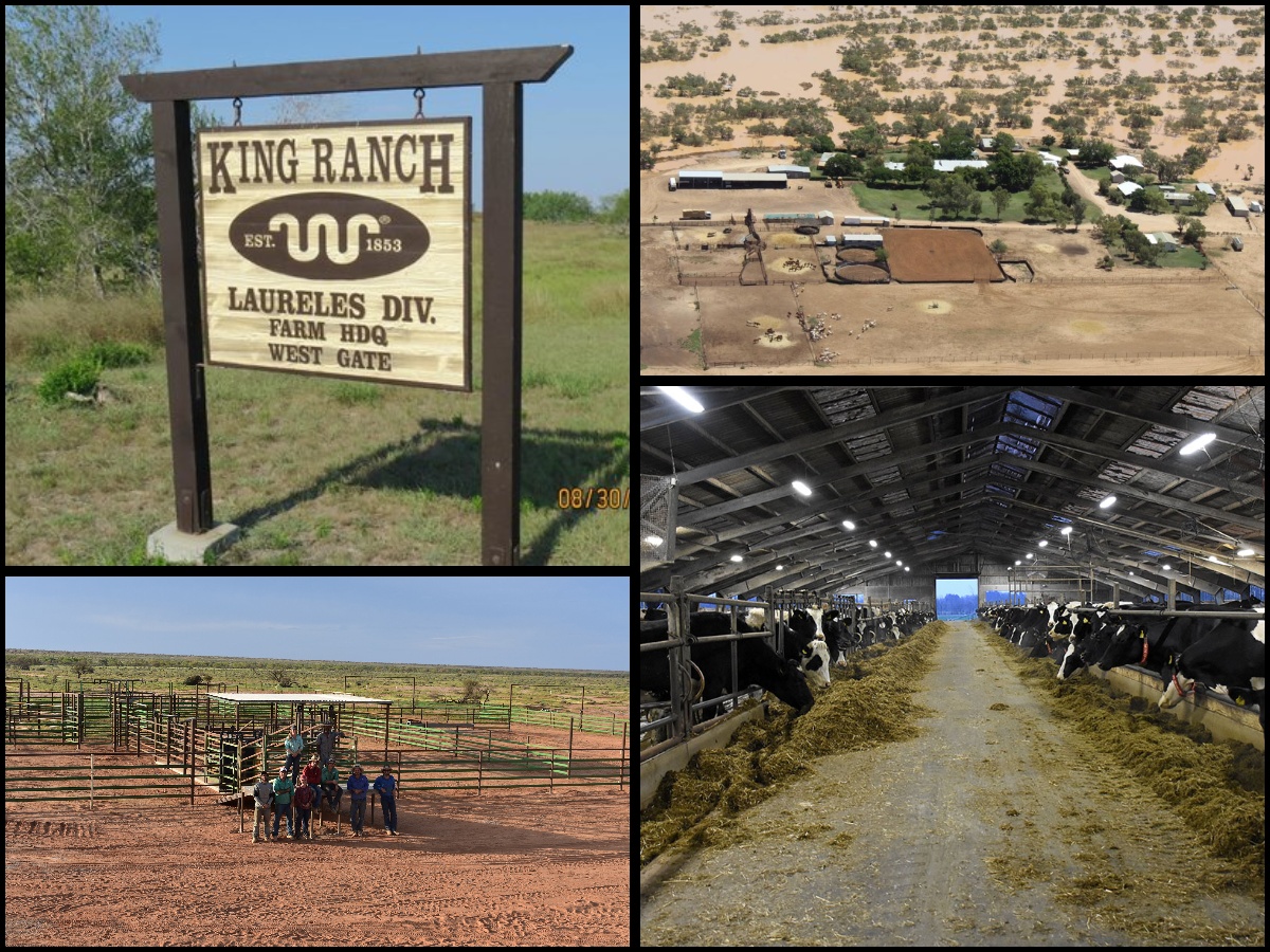 Top 10 Largest Farms in the World in 2025