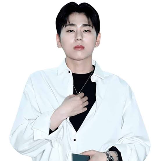 ZICO (Block B) Biography: Background, Education, Net Worth 2025, And Career