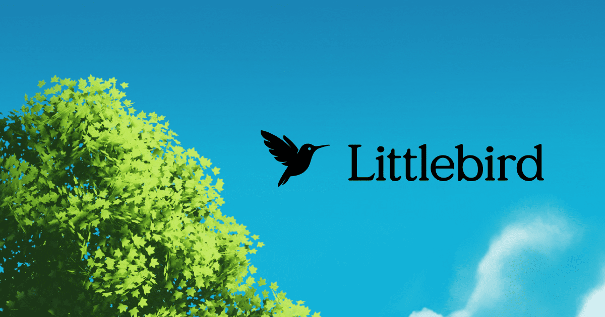 Littlebird Review 2026: AI, App, Movie, Watch, Reddit, Careers, User Experience and FAQs