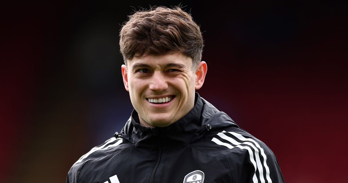 Daniel James in 2026: Net Worth and Salary, Parents, Injury, and Frequently Asked Questions