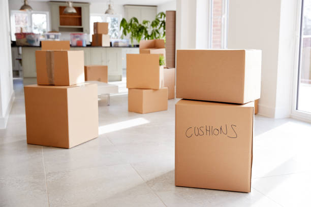 Top 10 Best Removal Companies in Johannesburg for Home and Office Moves in 2026